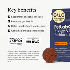 PetLab Co probiotics for dogs chews illustration highlighting seasonal comfort.