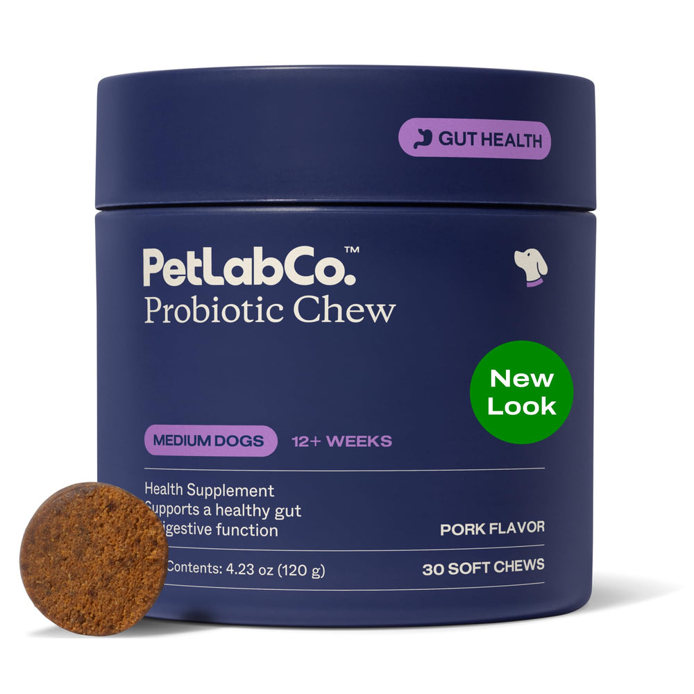 PetLab Co Probiotics for dogs bottle with label; supports gut health and daily balance.