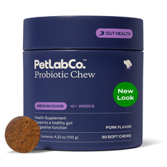 PetLab Co Probiotics for dogs bottle with label; supports gut health and daily balance.
