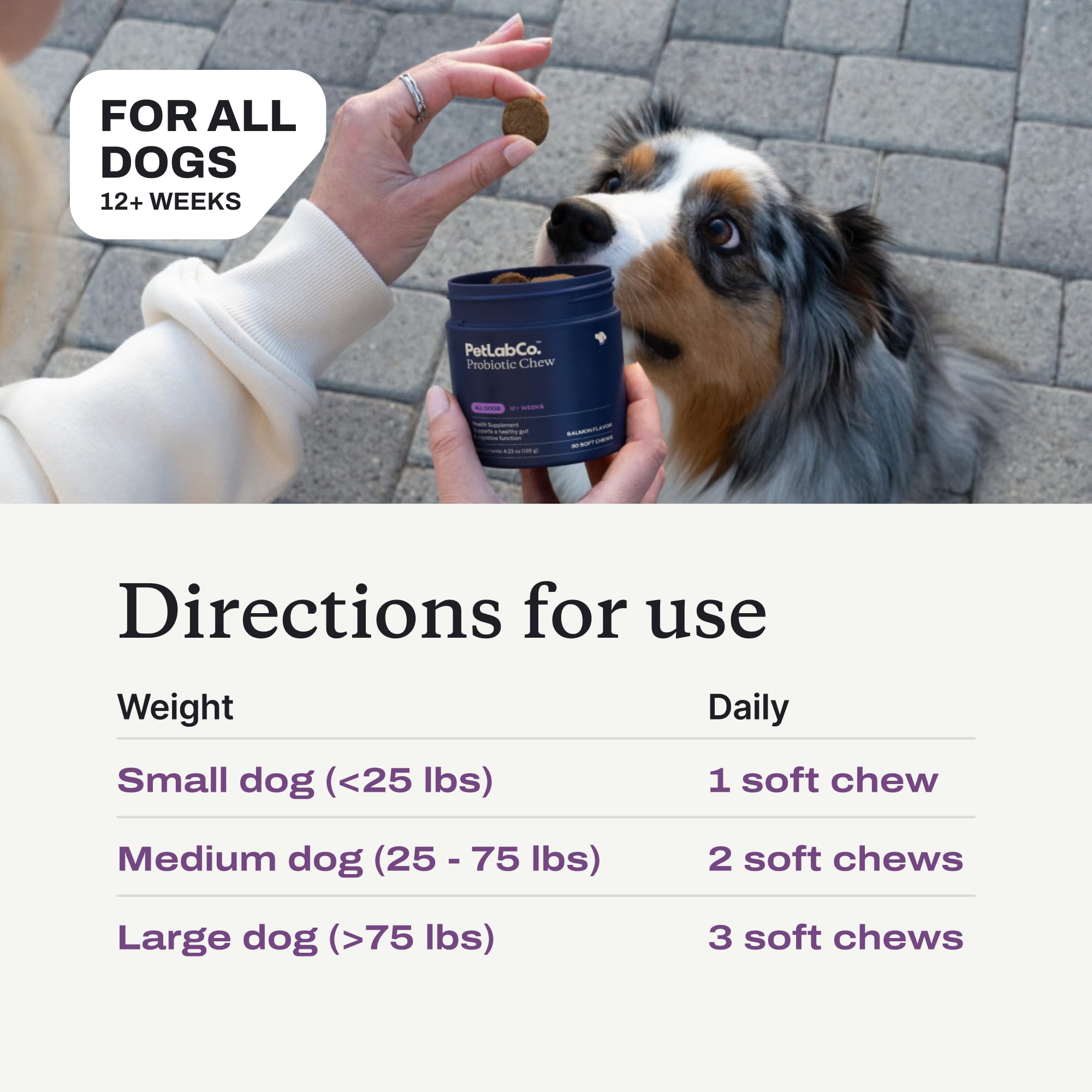 Dog happily chewing PetLab Co probiotic chew for digestive support