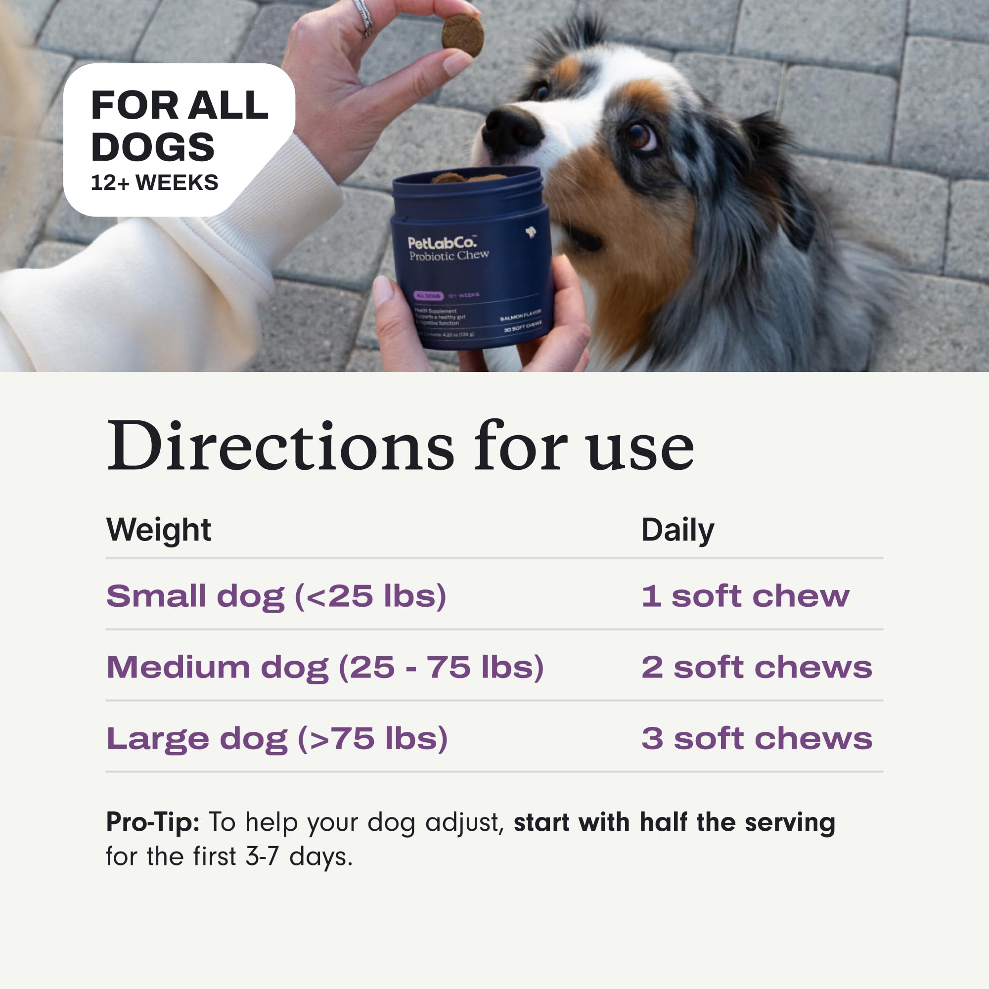 PetLab Co dog digestive health chews in bowl demonstrates everyday use.