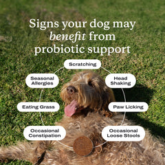 PetLab Co Probiotics for dogs label; quality manufacturing and NASC certification.