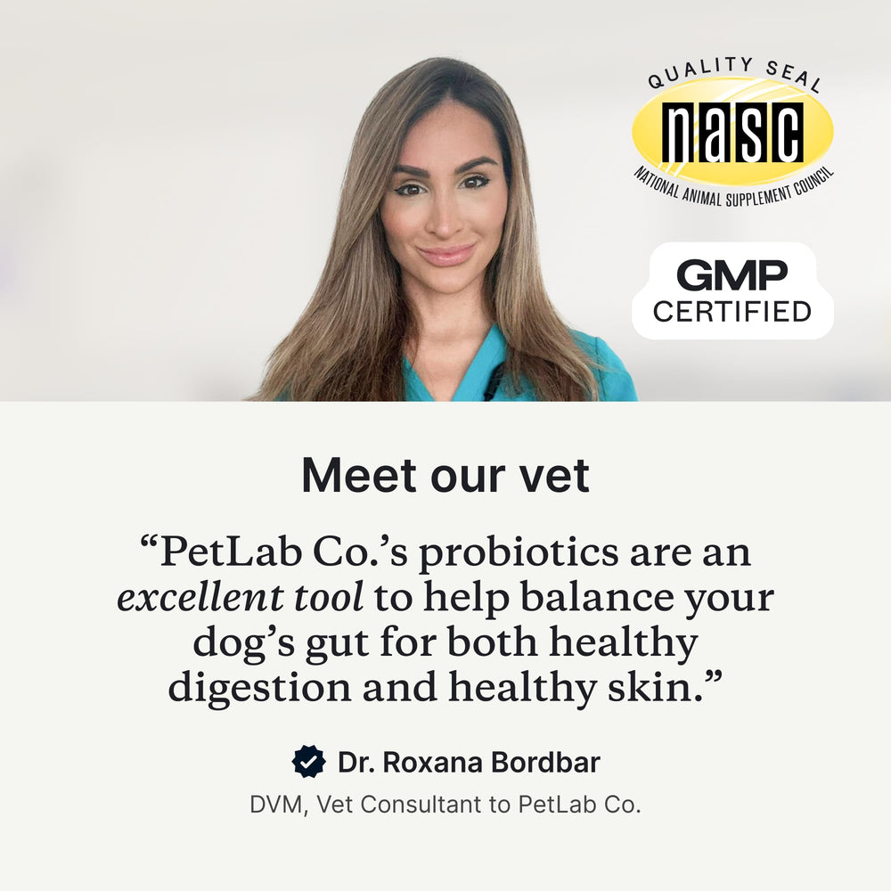 PetLab Co. probiotics for dogs pumpkin and inulin support healthy digestion
