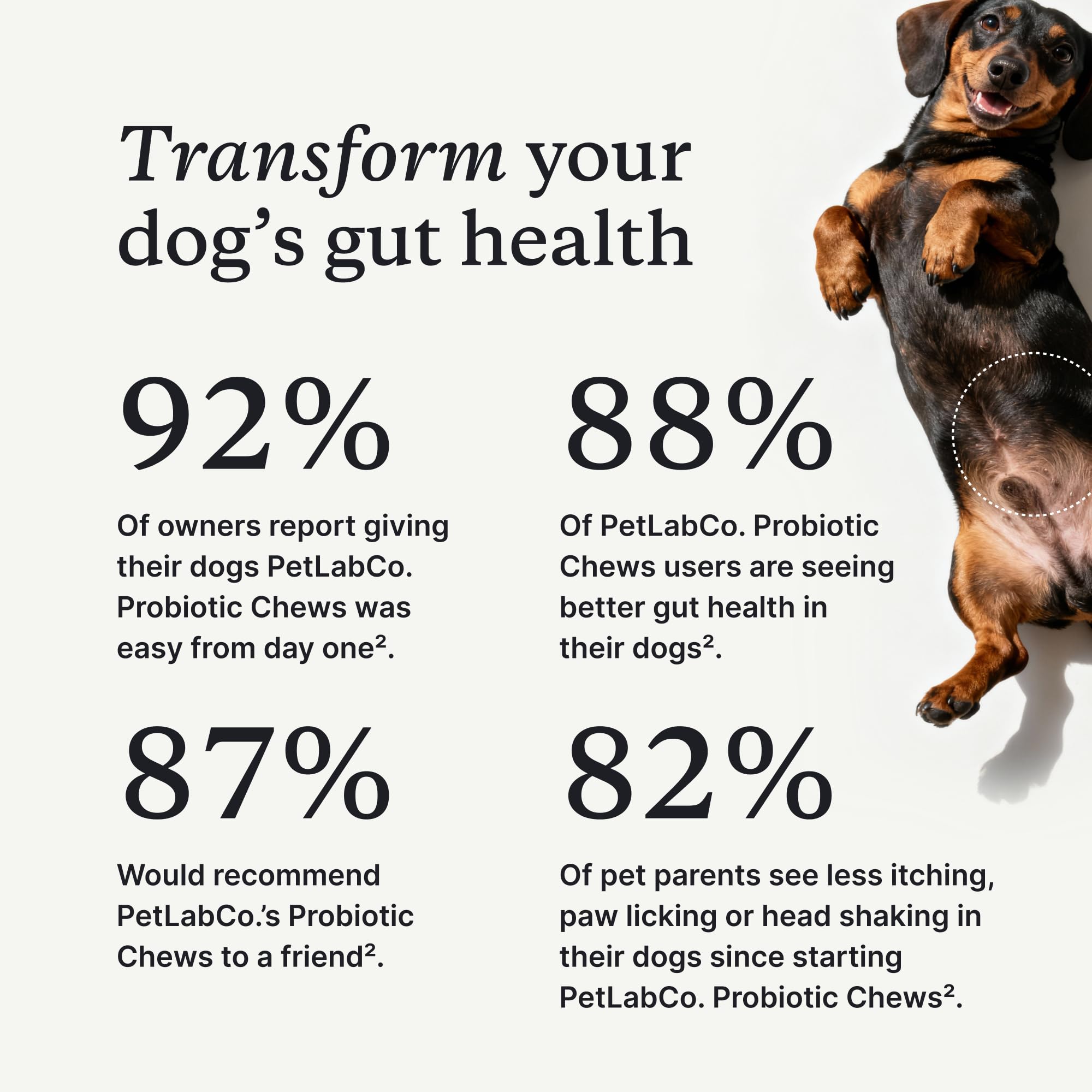 PetLab Co probiotics soft chews shown as tasty treats for allergy support