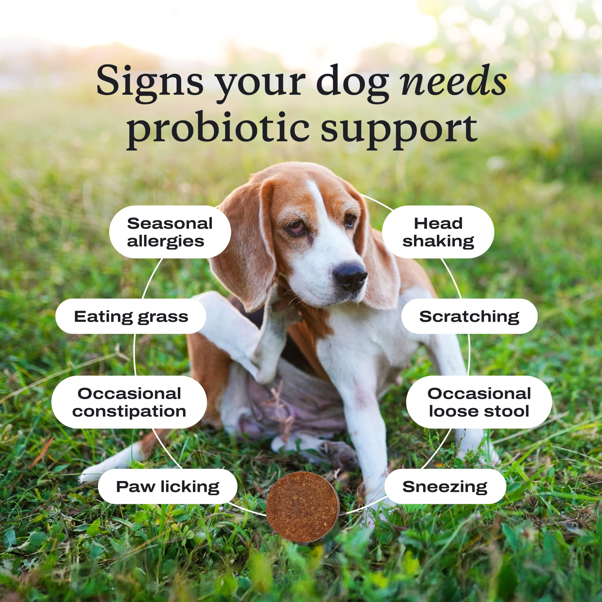 PetLab Co. probiotics display with subscription banner encourages ongoing use