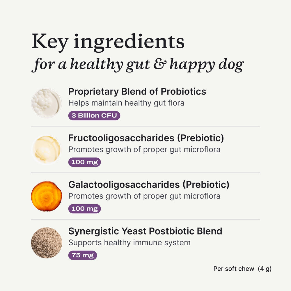 PetLab Co probiotics USA manufacturing badge communicates quality and domestic sourcing.