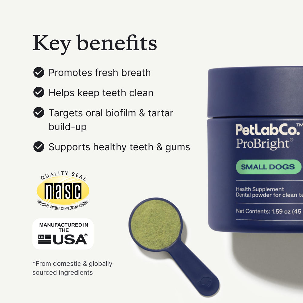 PetLab Co. ProBright 2-pack packaging on display for easy purchases.