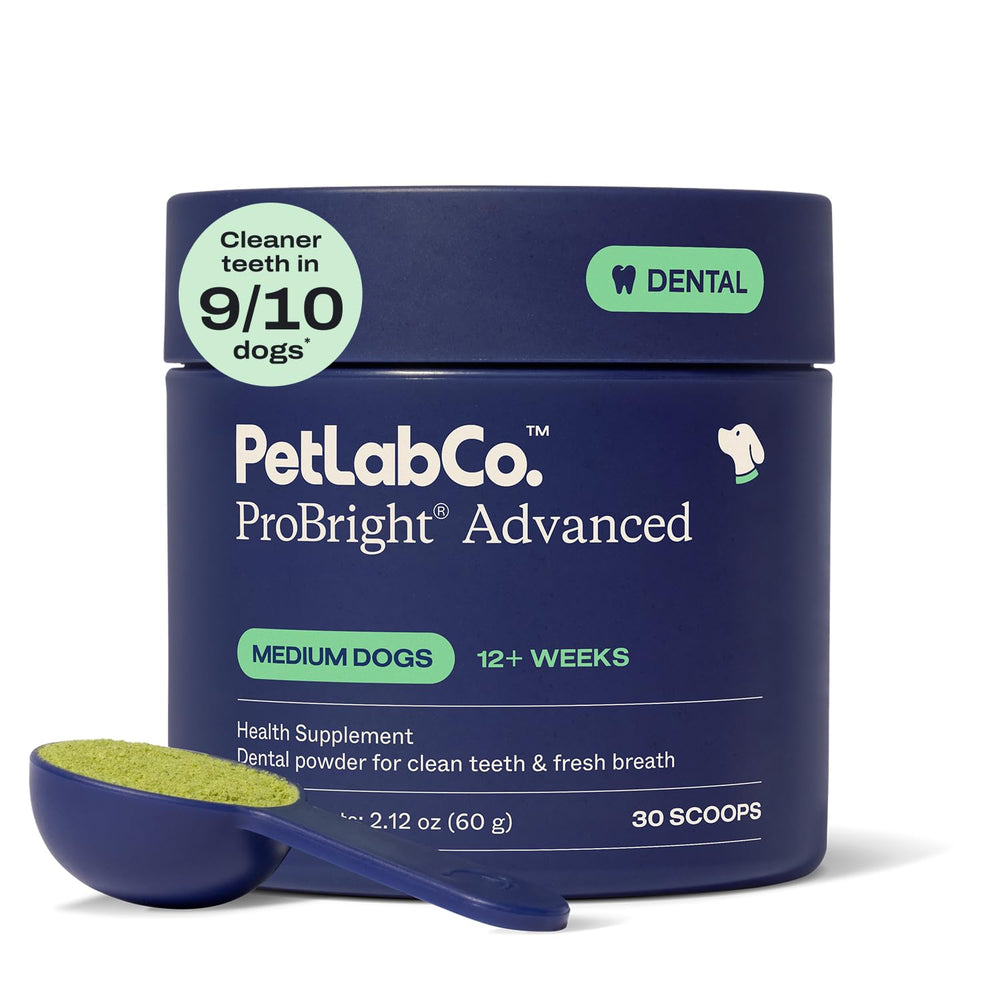 PetLab Co ProBright dental powder bottle supports easy daily care for dogs