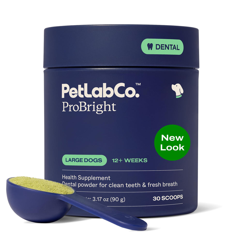 PetLab Co. ProBright dental powder tub closeup for daily dog oral care.
