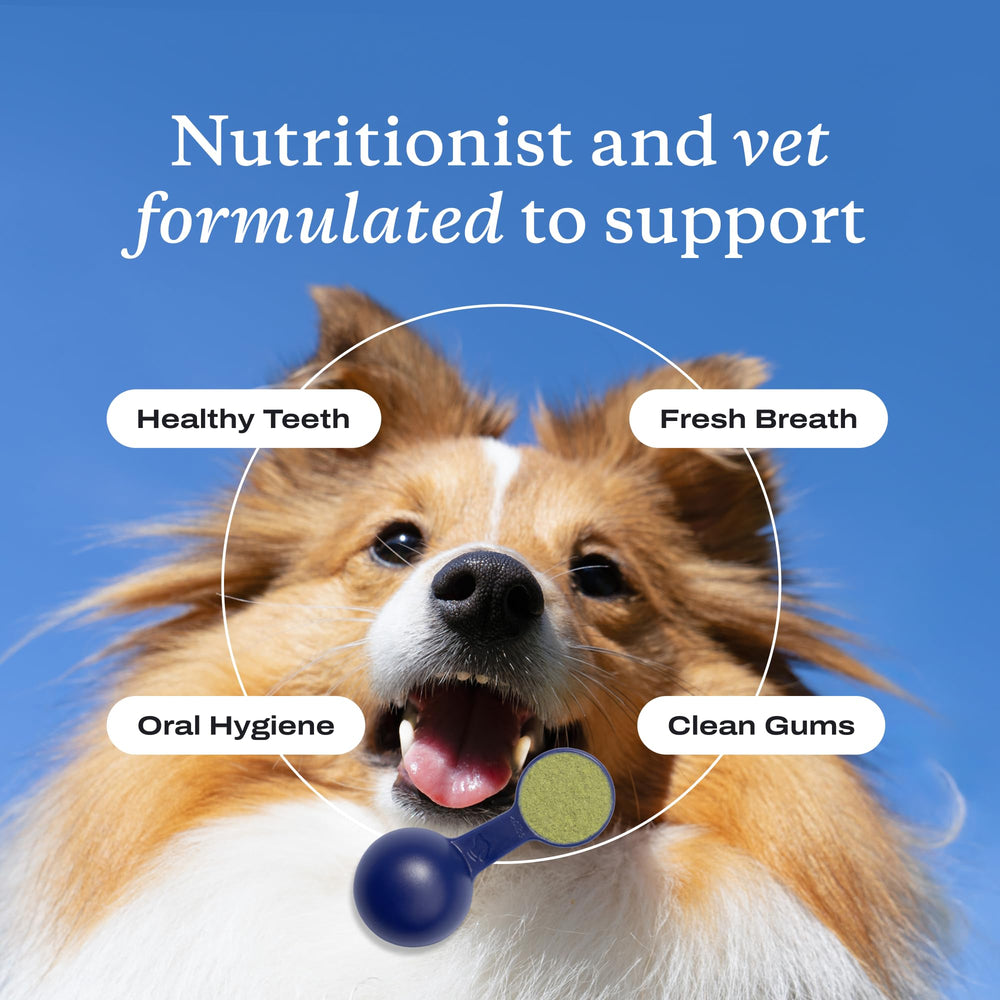 PetLab Co. ProBright is made in the USA with trusted ingredients.