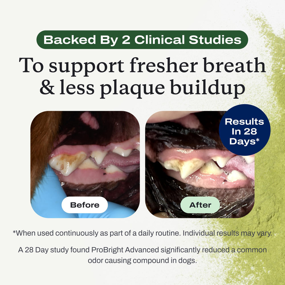 PetLab Co. ProBright new-flavor image points to a palatable option that may boost acceptance.