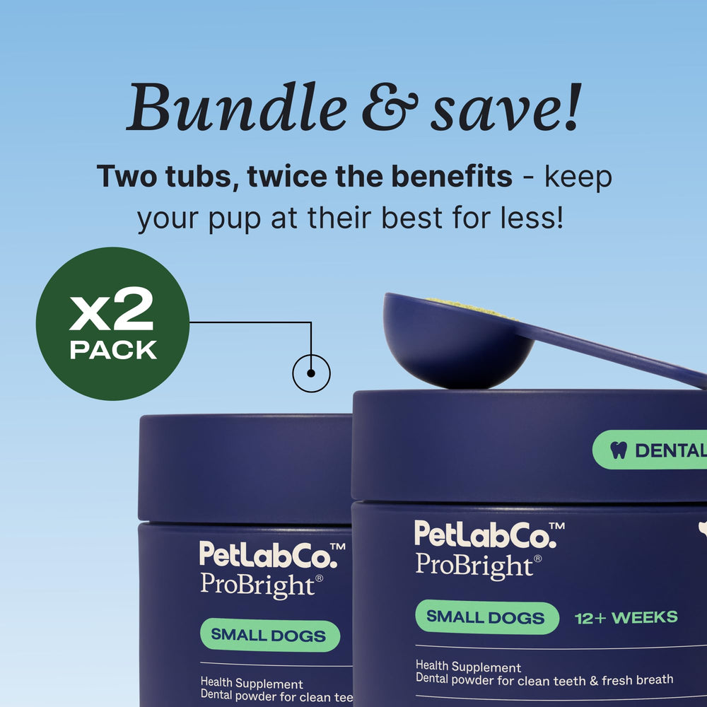 PetLab Co. ProBright pack of two on a store shelf.