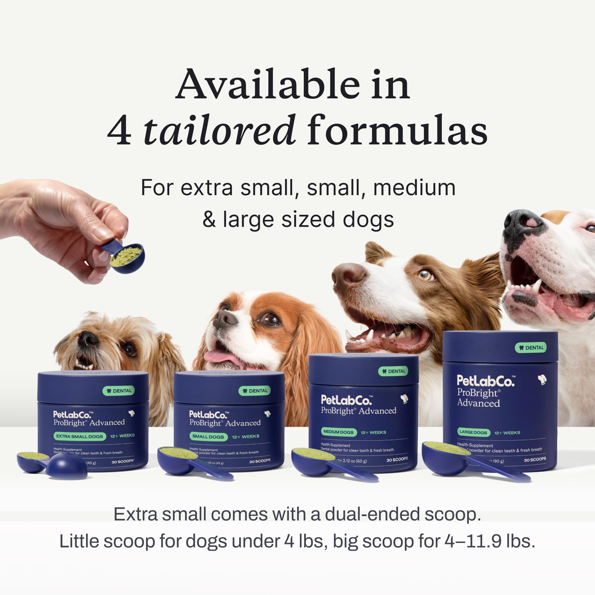 PetLab Co. ProBright tartar-target image highlights effective surface cleaning and fresher breath.