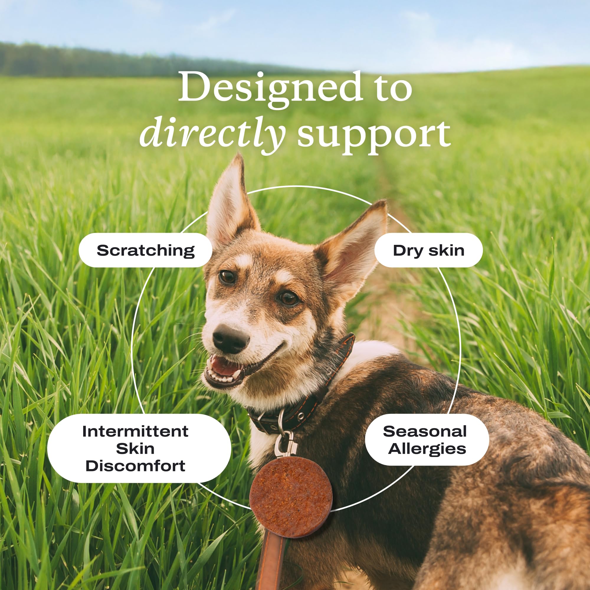 PetLab Co QrillAstaOmega oil provides antioxidant support and healthy inflammatory response.