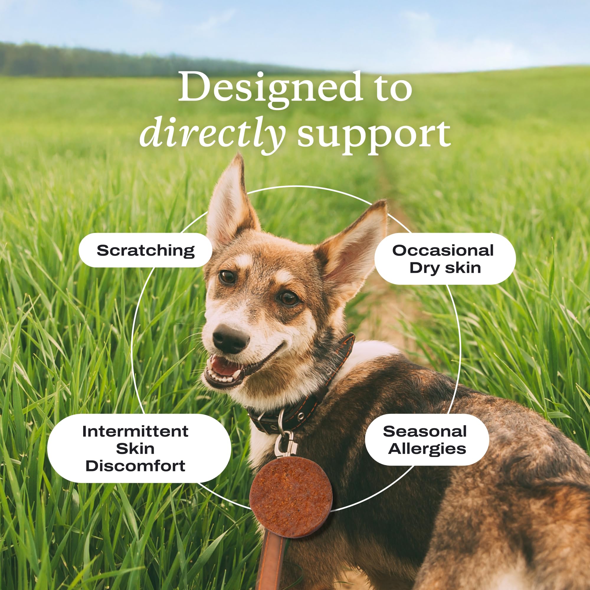 USA-made PetLab Co. packaging for Salmon Itch Relief Pro Chews.
