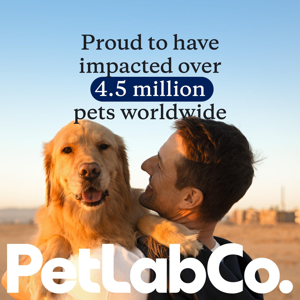 Packaging variation shown for PetLab Co Skin and Coat Chew