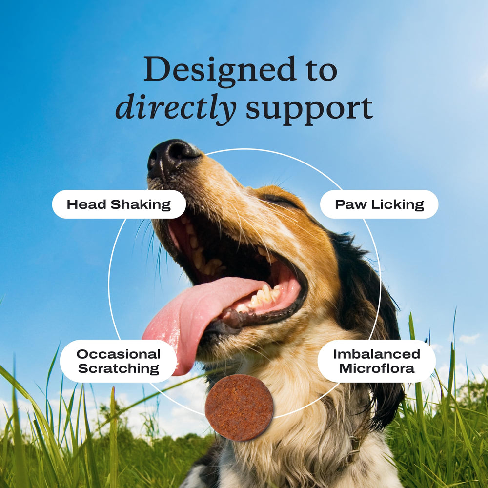 PetLab Co USA-made production badge over probiotic packaging.