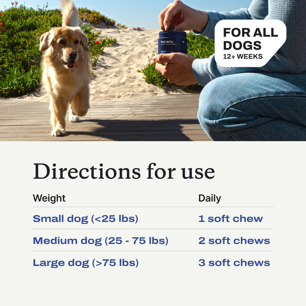 PetLab Co dog-active lifestyle image suggests ongoing play and comfort.