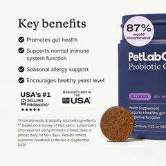 PetLab Co dog probiotics soft chews close-up ideal for daily use