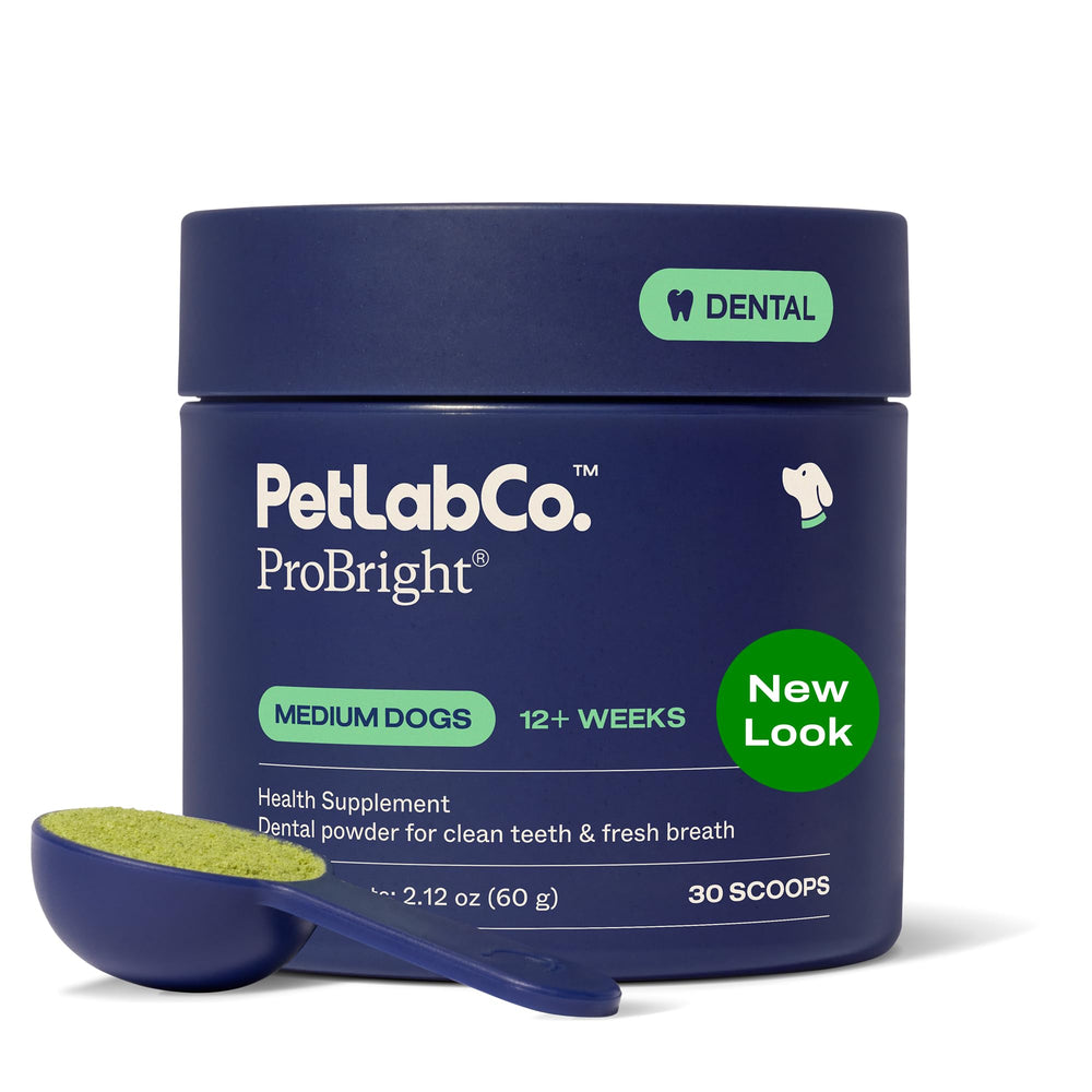PetLab Co. ProBright dental powder bottle for easy daily use and fresh breath.