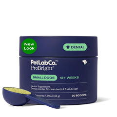 PetLab Co ProBright dental powder bottle for easy daily freshness.