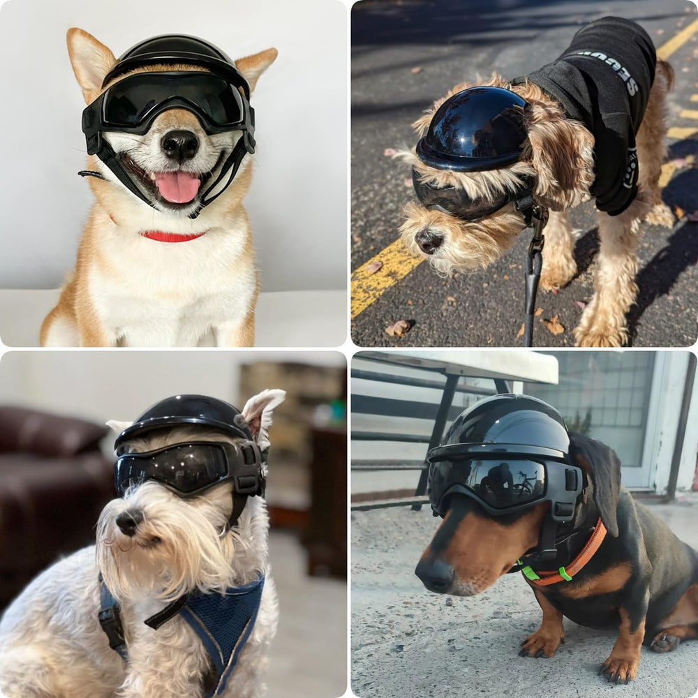 PETLESO dog helmet with ear holes stays securely on during walks.