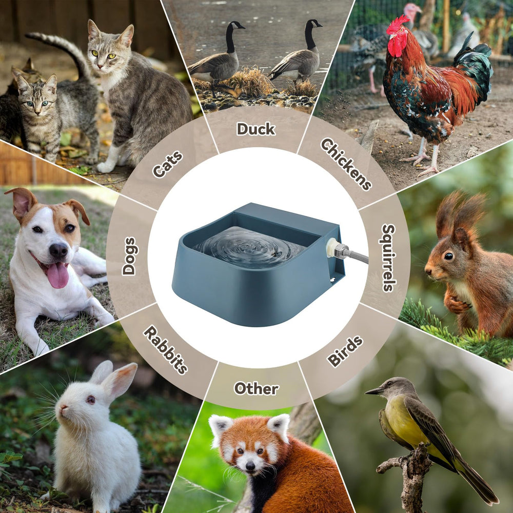 PETLESO easy-to-assemble connections enable quick setup anywhere.