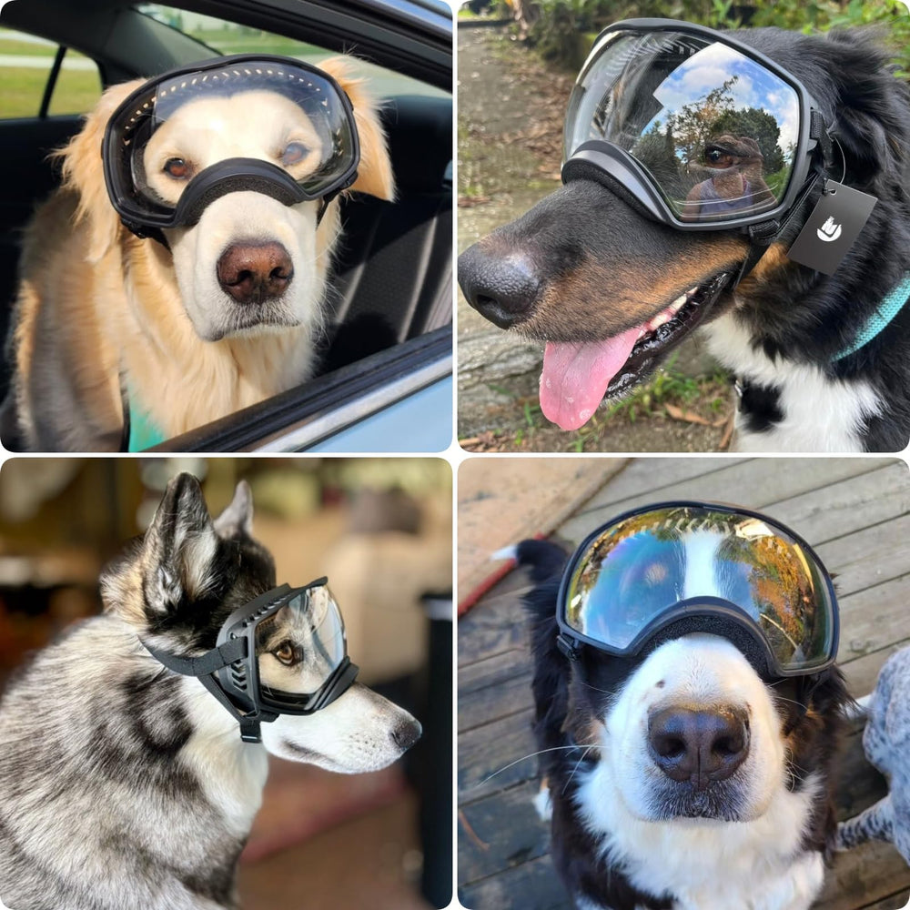PETLESO Clear Goggles with foam-padded frame stay comfortable.