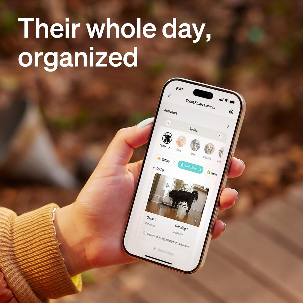 PETLIBRO AI Dog Camera 360-degree rotation and auto-tracking follows pets