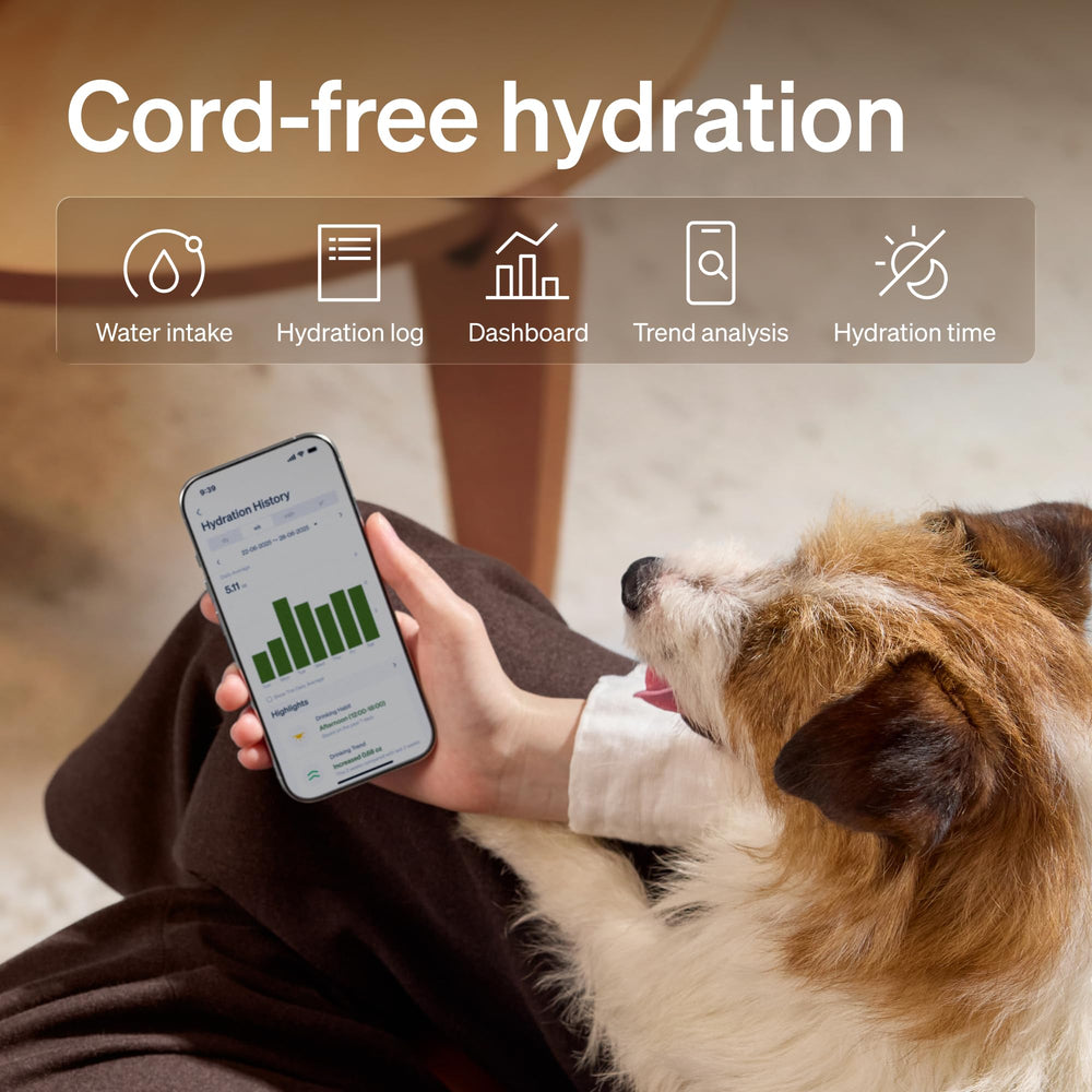 PETLIBRO 3L dog fountain offers steady water for small to medium pets.