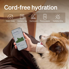 PETLIBRO 3L dog fountain offers steady water for small to medium pets.