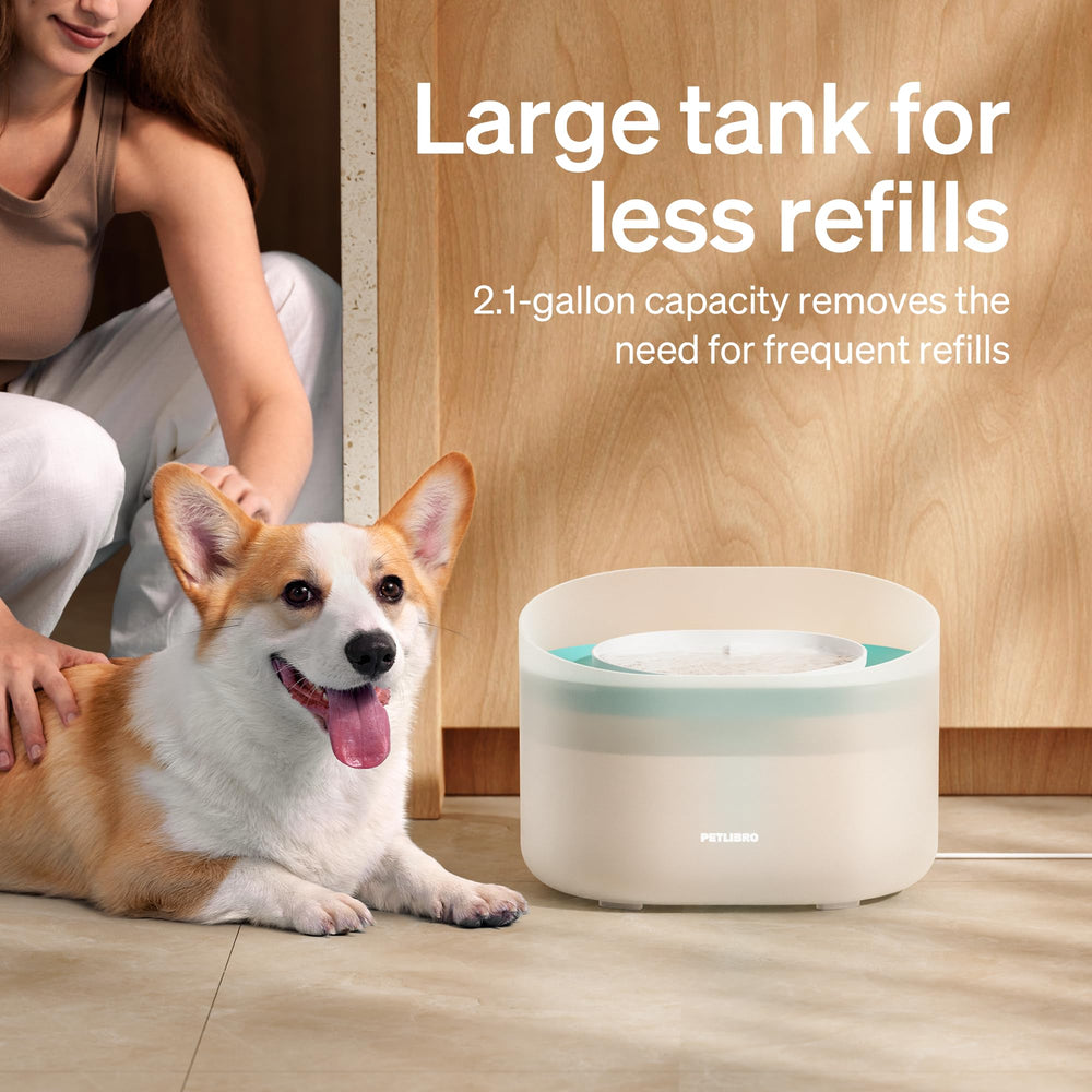 PETLIBRO activated carbon layer reducing odors in fountain water.