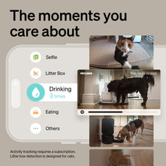 PETLIBRO AI pet camera AI day summaries previewing your pet's day