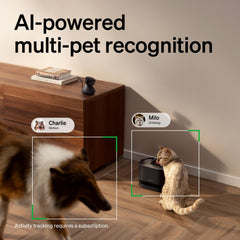 PETLIBRO AI pet camera identifying multiple pets during play with labels