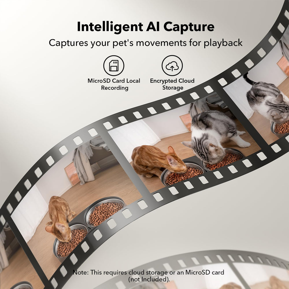 PETLIBRO AI pet recognition highlighting clips of cat activity.