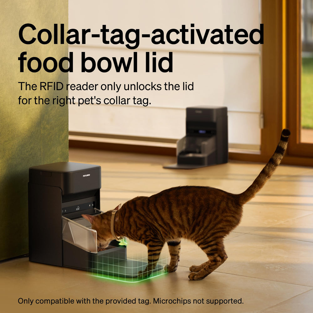 PETLIBRO anti-theft lid and shield keeps meals secure.