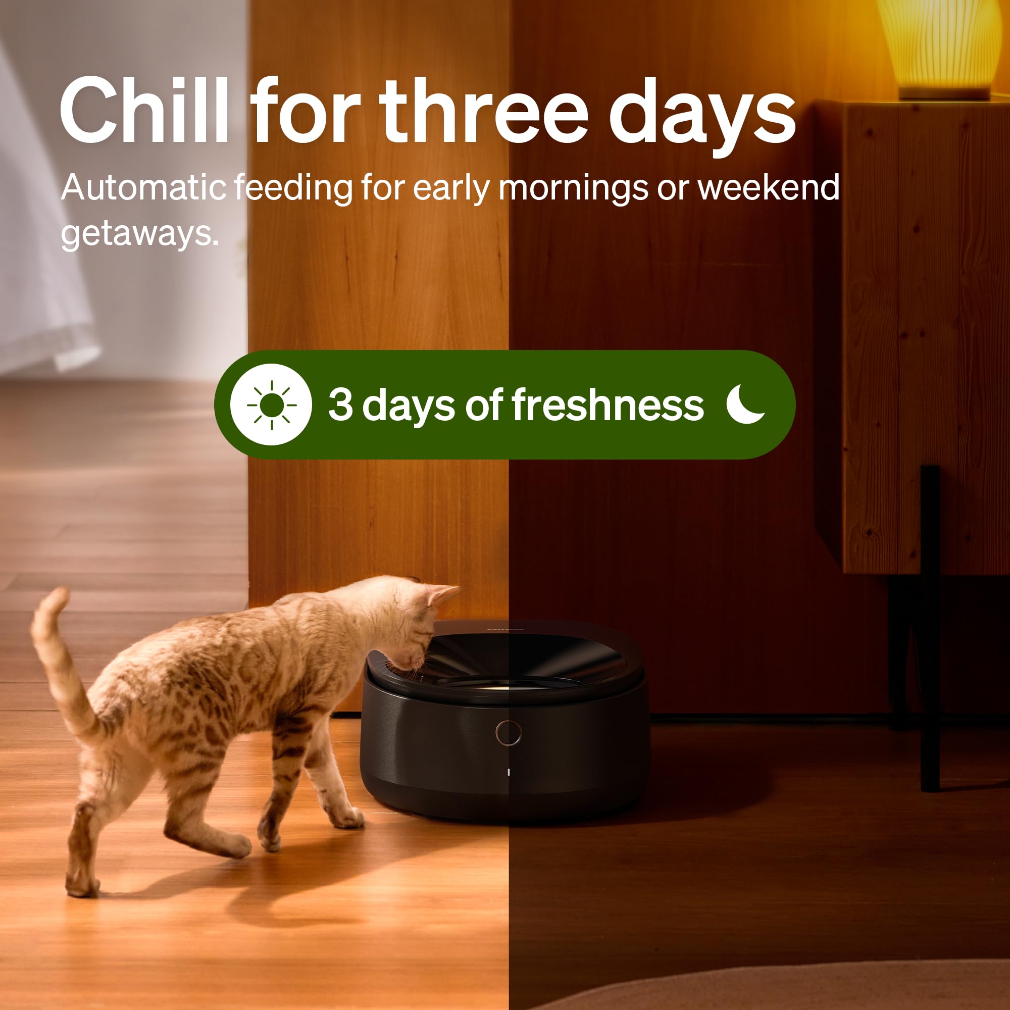 PETLIBRO app control interface for scheduling and remote feeding.