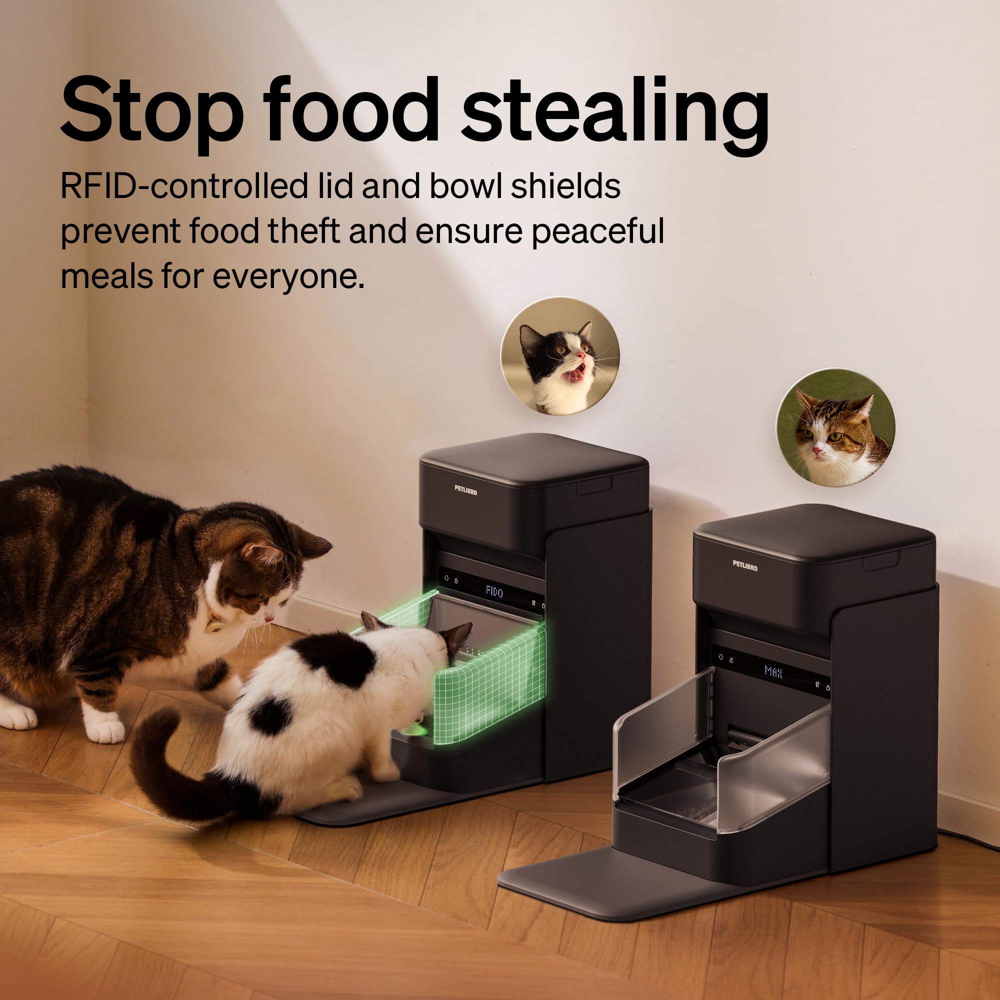 Easy scheduling and portions managed through the PETLIBRO app