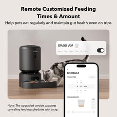 PETLIBRO 5l-capacity feeder keeps meals ready for busy days.