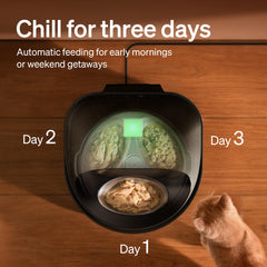 PETLIBRO stainless steel bowl close-up highlights hygienic, dishwasher-safe design.
