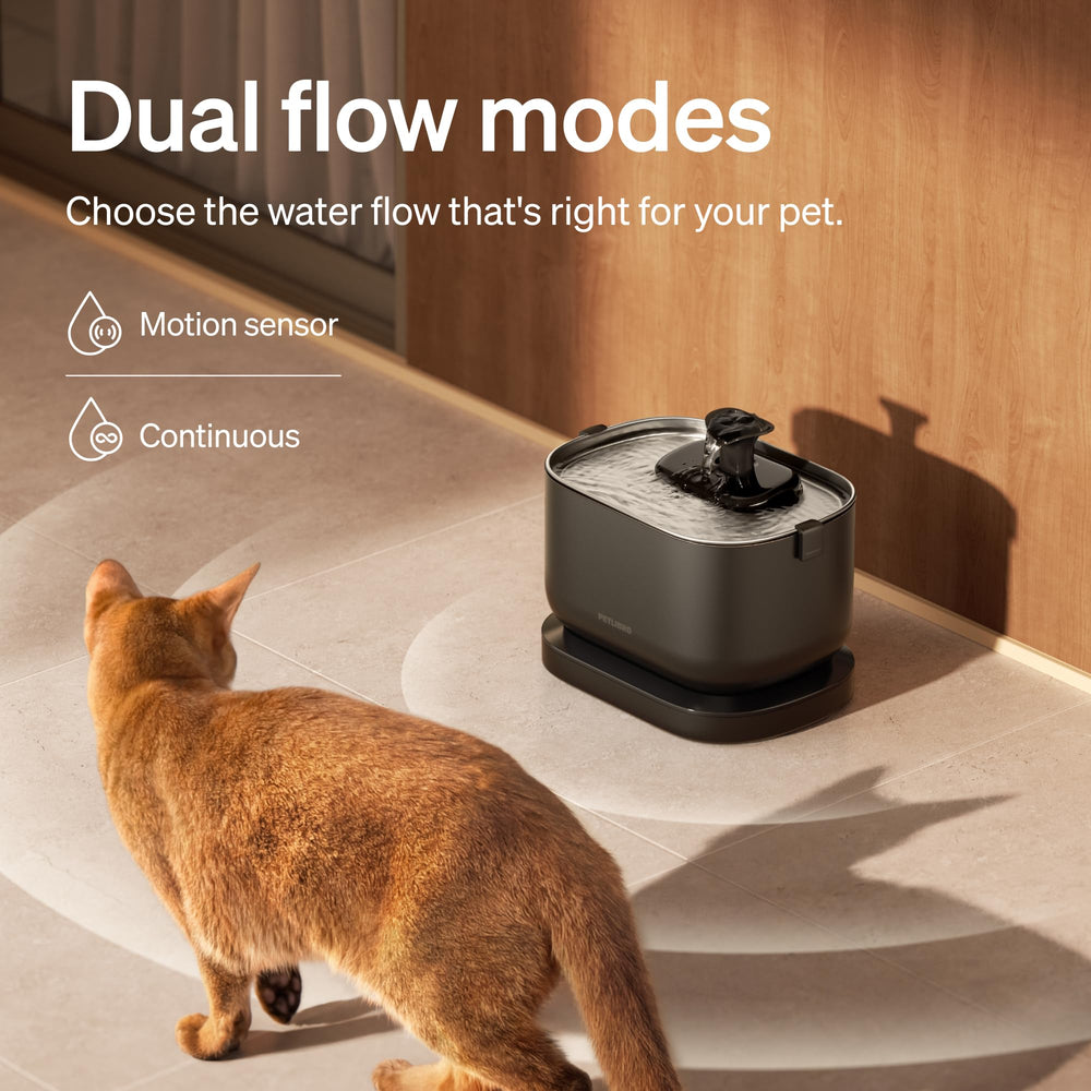 PETLIBRO 5000mAh battery supports cordless use.