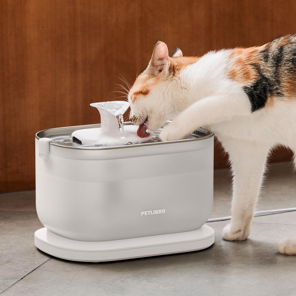 PETLIBRO cat fountain easy-clean design simplifies maintenance.