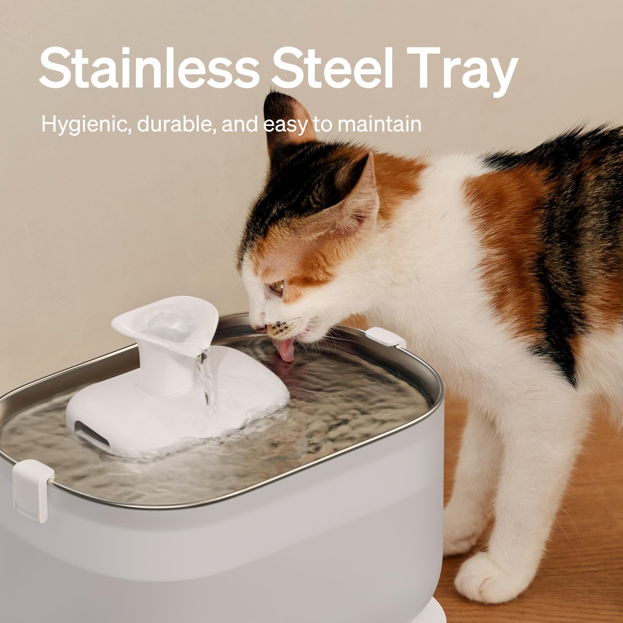 PETLIBRO cat fountain with wireless pump; easy cleaning and cordless operation.