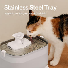 PETLIBRO cat fountain with wireless pump; easy cleaning and cordless operation.