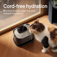 PETLIBRO cat fountain 2.5L tank provides steady fresh water.