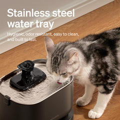 PETLIBRO cat fountain wireless pump keeps cords away.