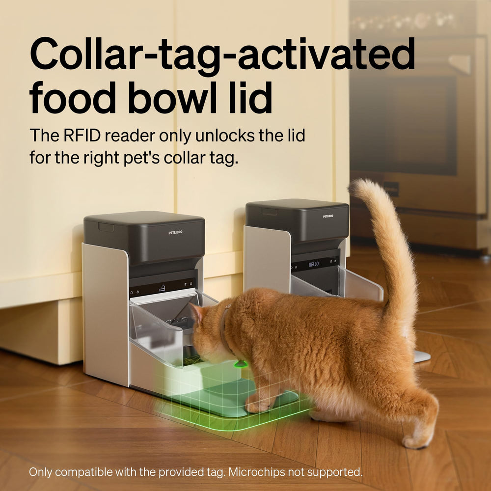 PETLIBRO collar tag close-up highlighting personalized meal recognition
