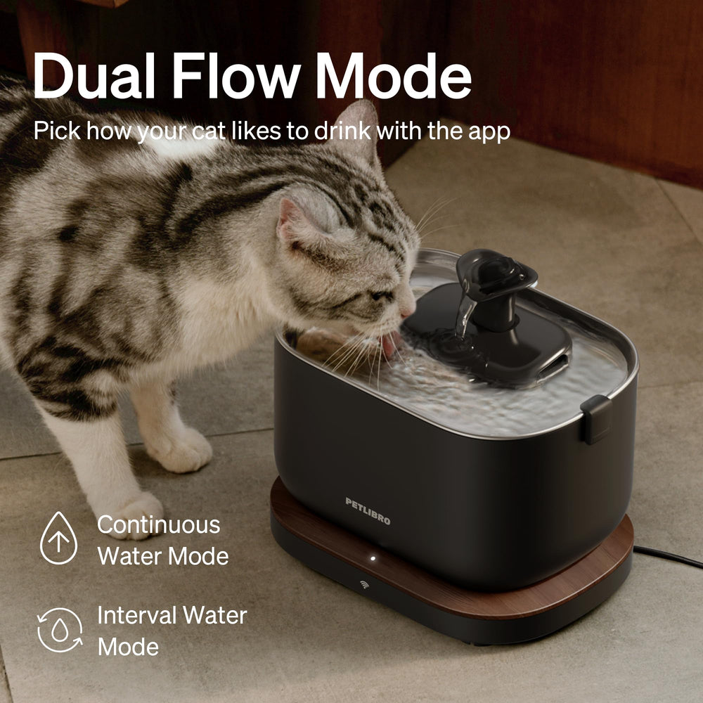 PETLIBRO continuous flow mode provides steady access to water.