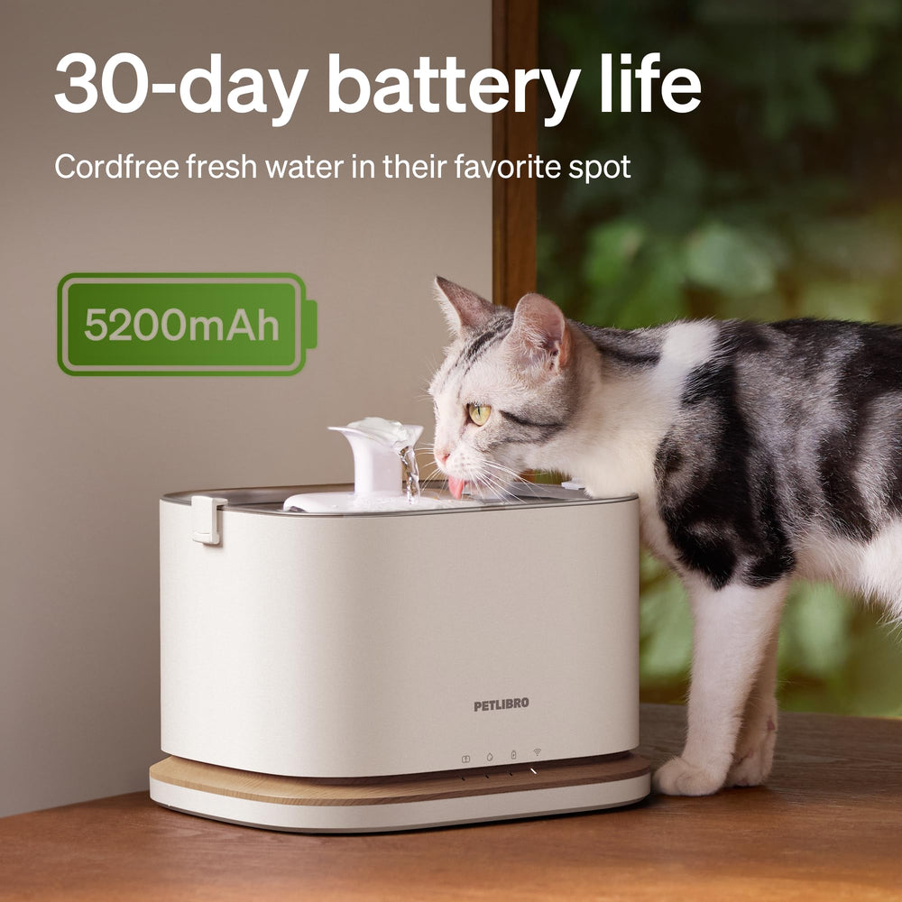 Dockstream 2 connects via 5GHz WiFi for smart notifications.