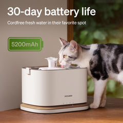 Dockstream 2 connects via 5GHz WiFi for smart notifications.